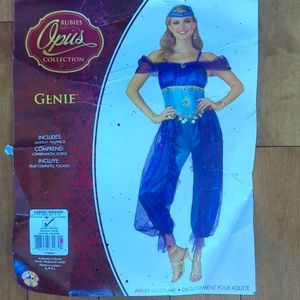 Rubies Genie costume and wig